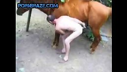 A Zoophile Man and His Horse Show Their Unconventional Love In Animal Porn Free