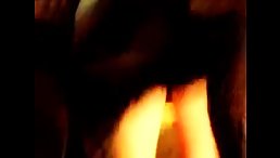 Shock and Awe: Uncover the Wild World of POV Dog Fucking XXX Videos