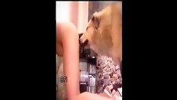 A Heartwarming Tale of Romance and Devotion: Dog and Young Girl Cast in Outdoor Porn