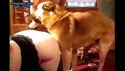 What Happens When a Sexy Ass Gets Fucked by a Dog?
