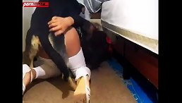 Witness the Unbelievable: Black Dogs Having Orgasms with a Human Female