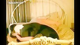 dog style with her Dog - Zoo Porn Dog Sex, Zoophilia sex xxx zoo free watch and download free porn