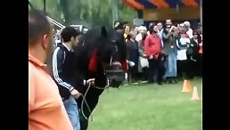 Unbelievable Free XXX Horse Party Sex - You Won't Believe What Happens Next