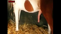 Watch Sexy Slut Ride Her Pony for Fiery Ass-Fucking