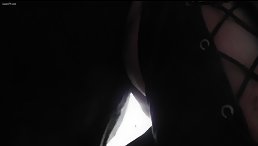 A Woman and an Orgy Horse: Unbelievably Bizarre Sexual Encounter Caught on Camera
