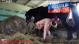 Shock and Awe: Hot Lady Caught Having Sex With Horse in Stable