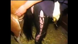She Said Yes: A Whore's Unusual Request - Horse Fucking