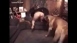 Alice Babe Gets Naughty When She Fucks The Dog