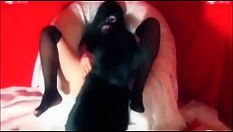 A Babe Who Swallows Cum From a Dog? You Won't Believe What Happens Next
