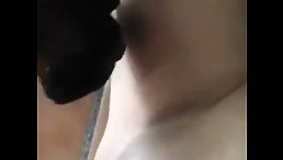 Watch This Dog's Wild Instincts Unfold: Licking Her Wet Pussy
