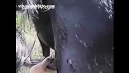 She Experiences Unforgettable Pleasure When Sucking Dick Dog