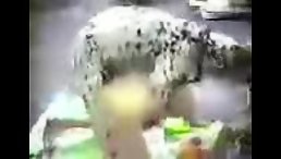 She's Doing It Doggy-Style...With an Animal