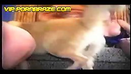 Horrifying Reality: Best Girl Rape by Monster Dog Captured in HD Animal Porn