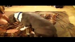 Blonde Bombshell Gives Deepthroat to Dog in Shocking Video