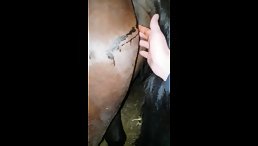 Explosive 2018: Watch Guy Finger Fucking Female in the Ass