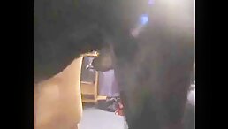 Shock Video: Girl Violated by Animal on the Floor